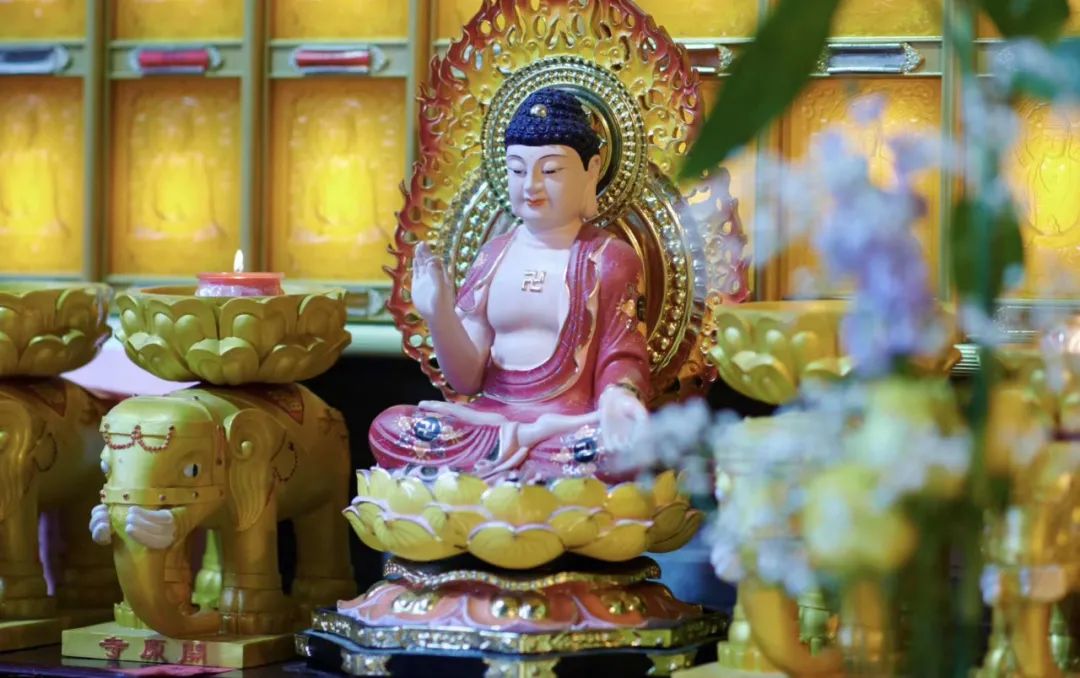 原来,福德的力量比聪明的大脑厉害 原来,福德的力量比聪明的大脑厉害