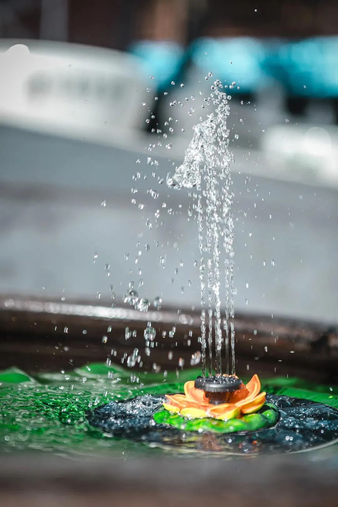 Ϊʲô���Ī��ϲ��������һ���ˣ�