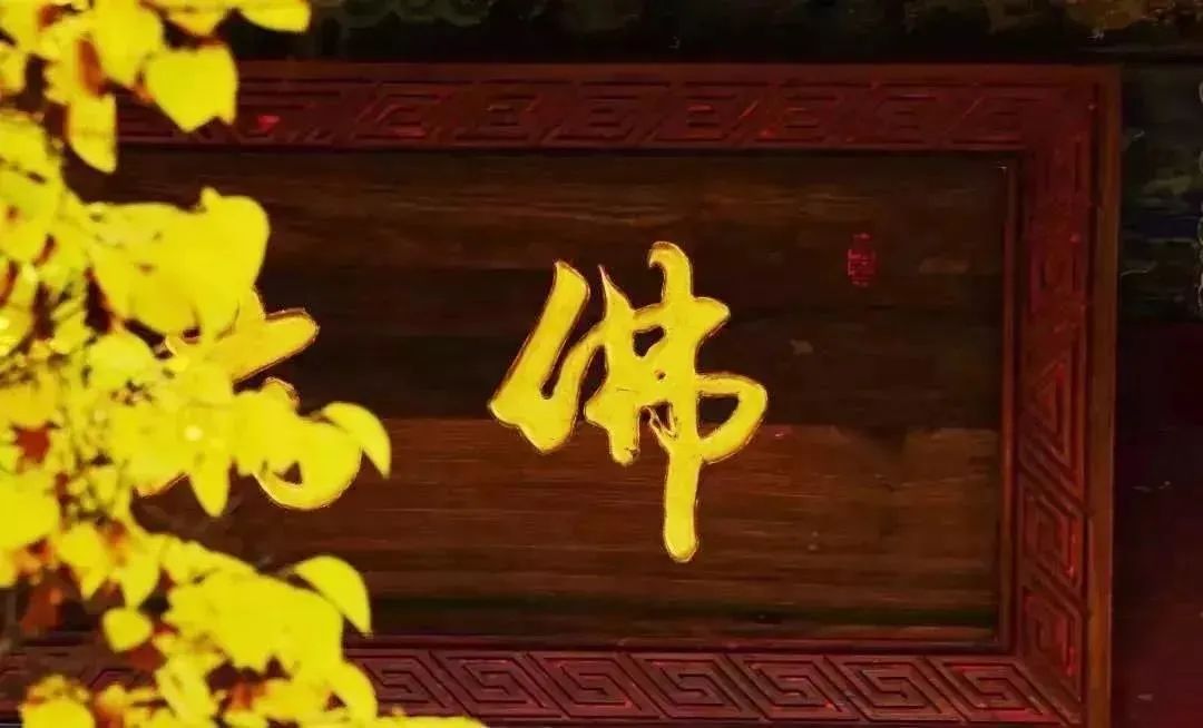 ���е���������?_һ����Ҫ������