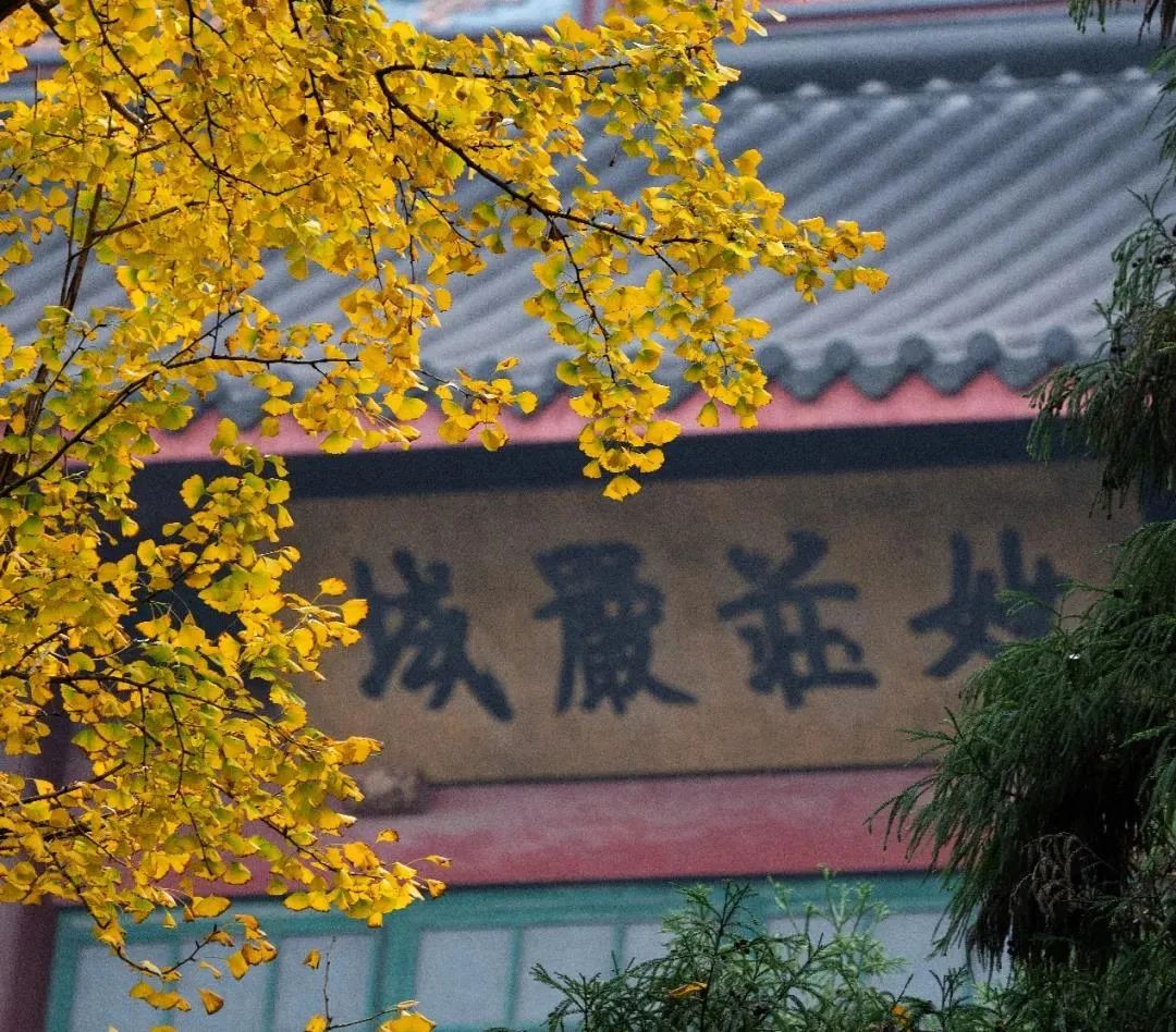 看懂这篇文章,就明白了人该如何立身处世 看懂这篇文章,就明白了人该如何立身处世