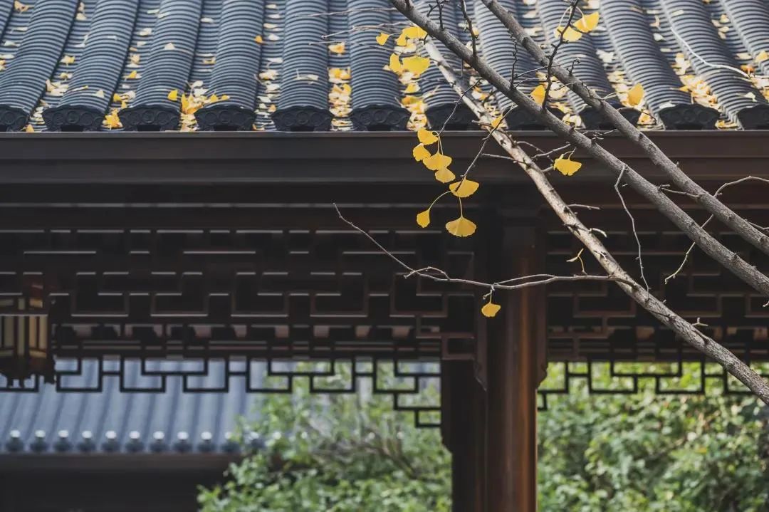 念佛之人的“三不可”,_你知道几条? 念佛之人的“三不可”,_你知道几条?