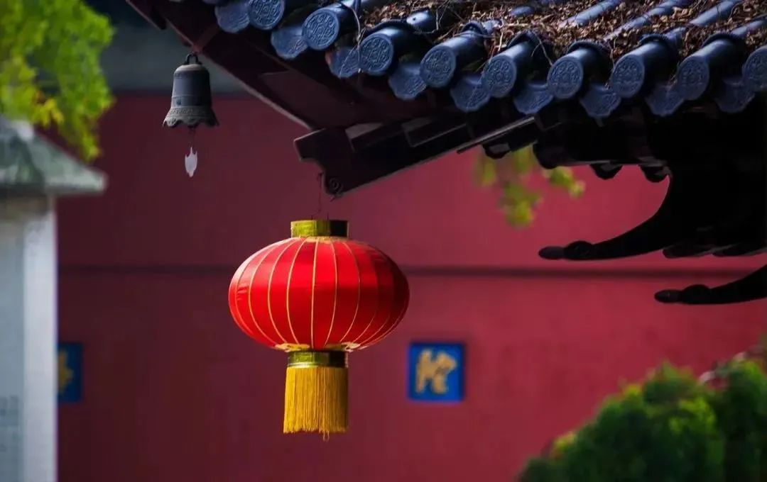 ��ʦ�������ľ���