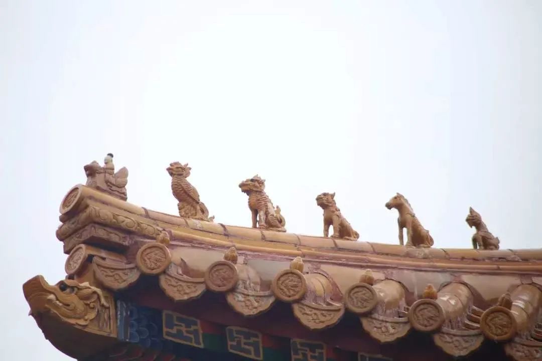 信心坚固,愿力充足,就不会走错路 信心坚固,愿力充足,就不会走错路