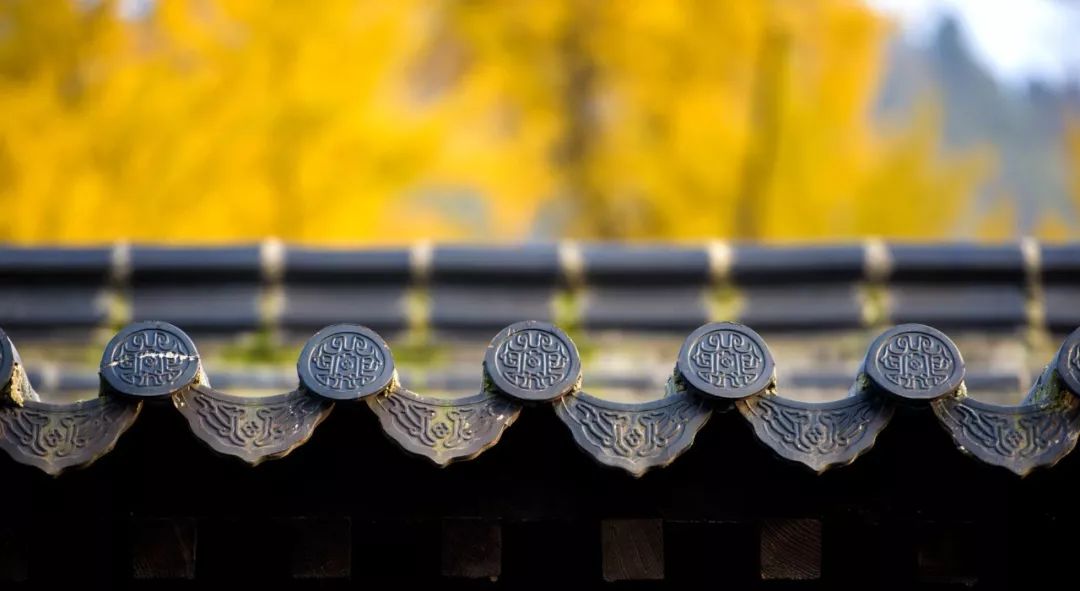 修行,只需懂得_“放下着” 修行,只需懂得_“放下着”