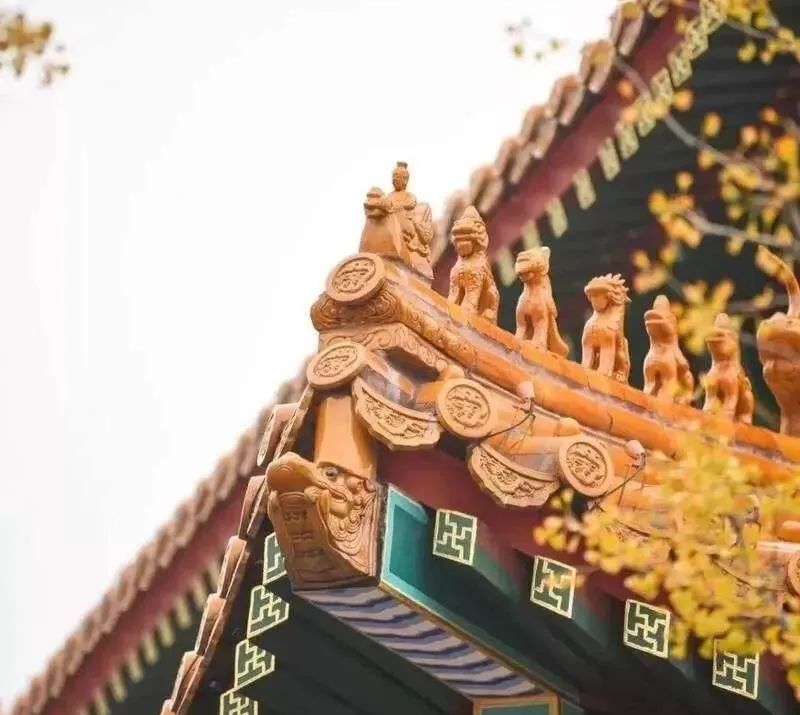 净业修持八大要领 净业修持八大要领