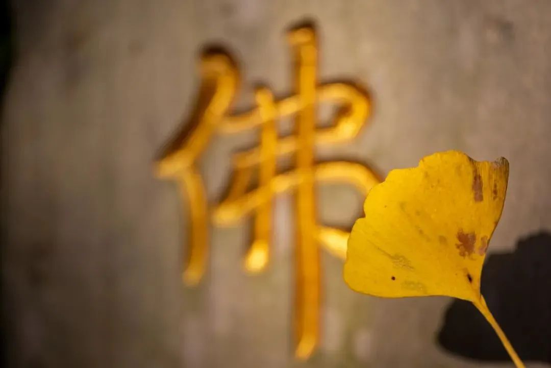 �о����Ӧע��֮����