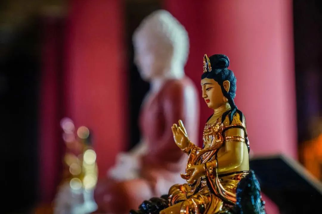 在苦中而不以为苦,是真正的灭苦 在苦中而不以为苦,是真正的灭苦