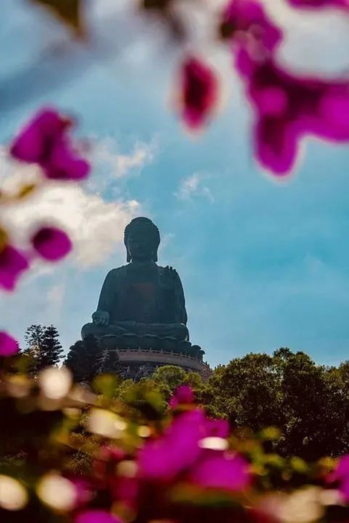 ������̳��������������