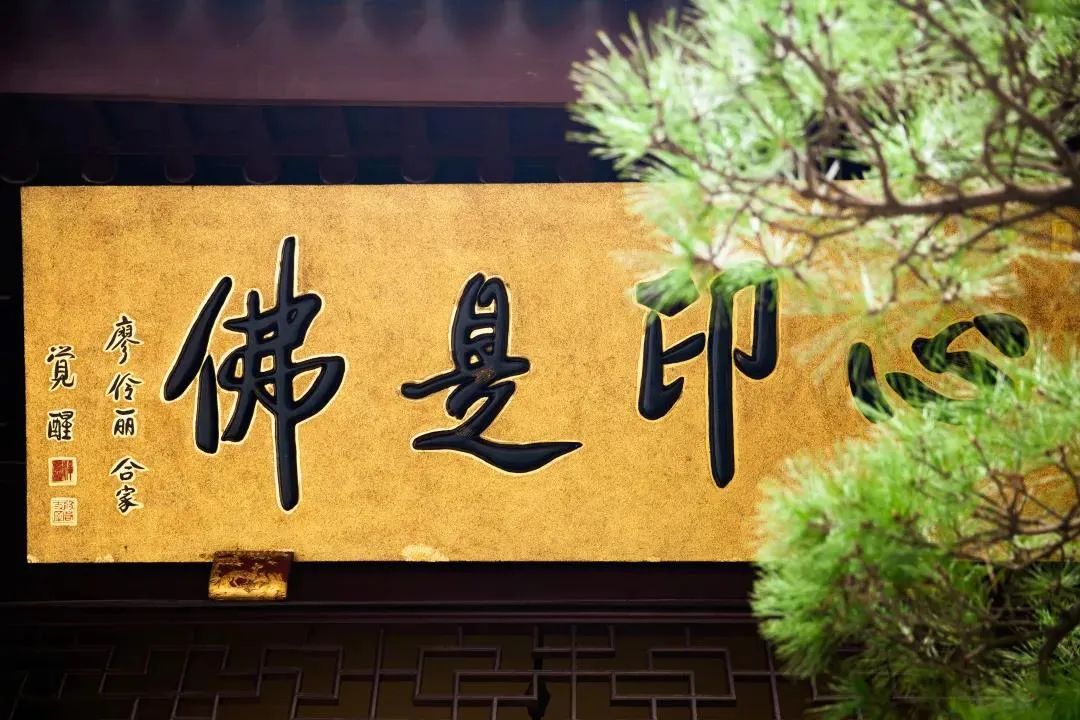 �������ǵ��������ģ��������������