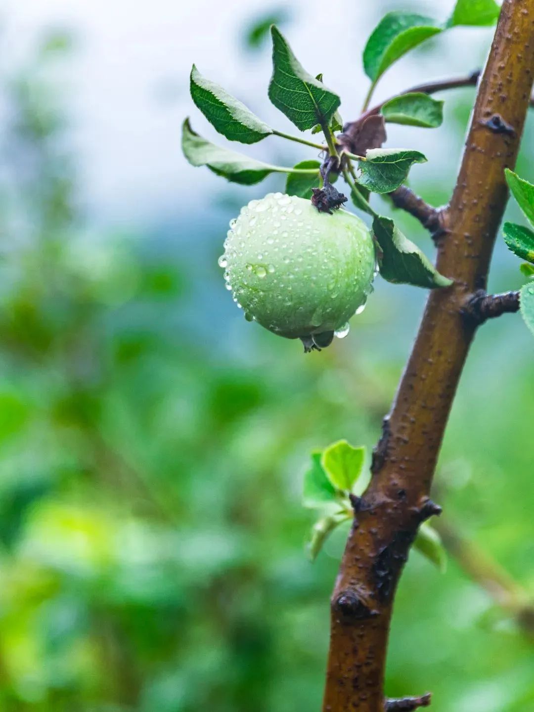 Ϊʲô�ý��������������ۣ�