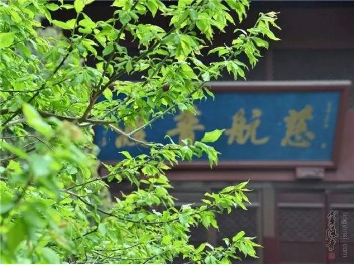 ���������͡�ִ�š���ʲô����