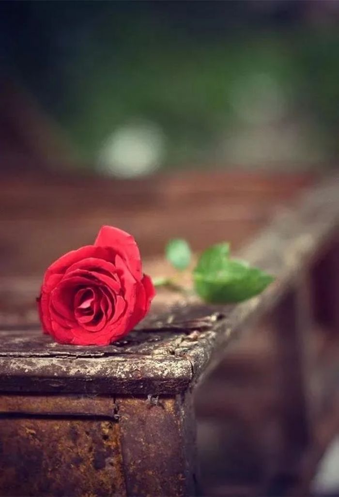 �ı�ϰ�ߣ����ܸı�����