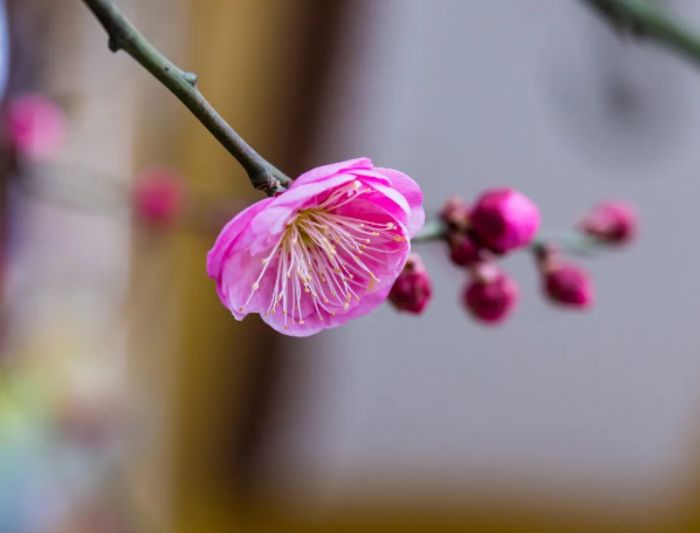 �µ�һ�꣬��û������Լ�˵�Ļ���