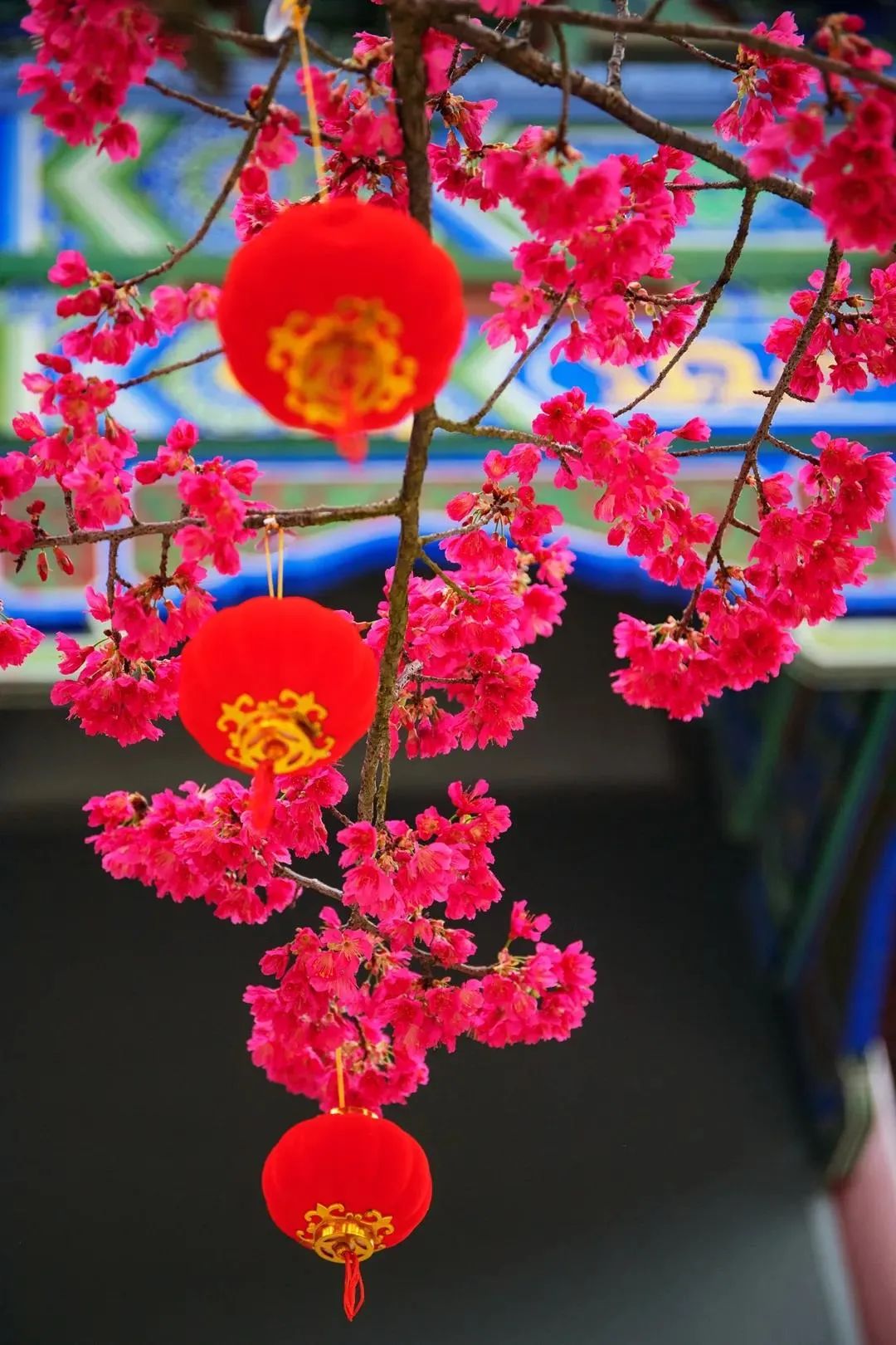 �µ�һ�꣬��û������Լ�˵�Ļ���