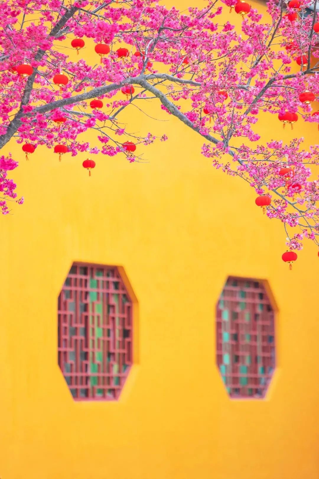 �µ�һ�꣬��û������Լ�˵�Ļ���