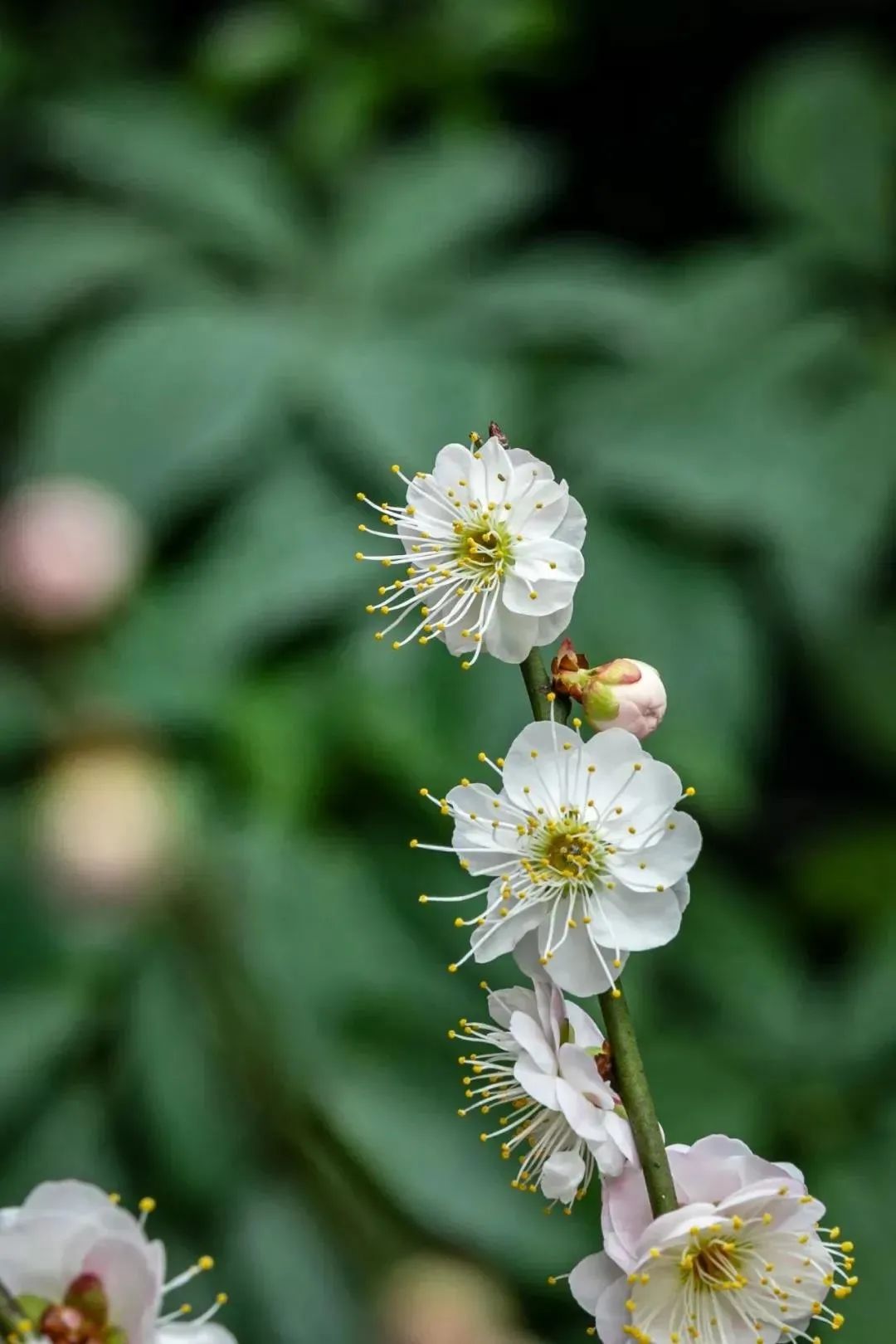 ɢ�ң������ܴﵽһ�Ĳ��ң�