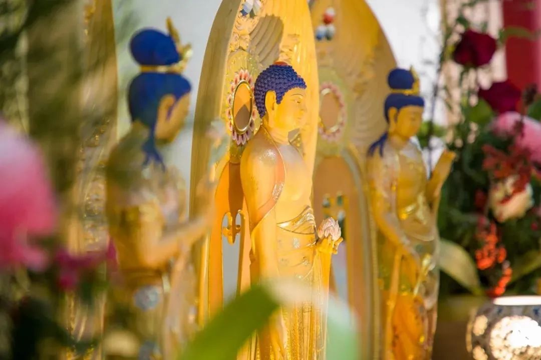 ɢ�ң������ܴﵽһ�Ĳ��ң�