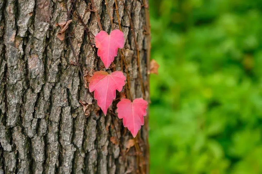 什么样的人生,才是有福报的人生? 什么样的人生,才是有福报的人生?