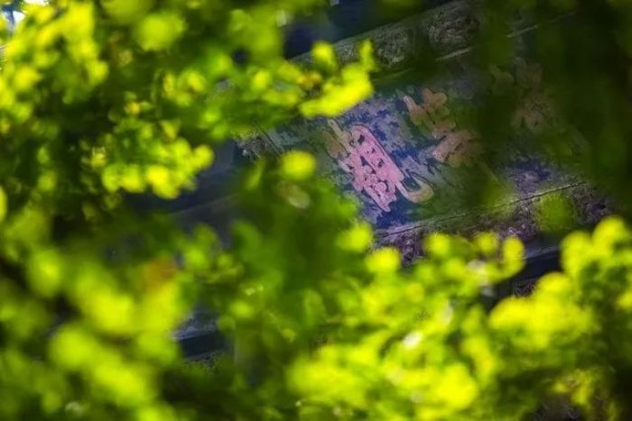 ֻ��һ�ж��ᣬ���ܱų���ҵ����