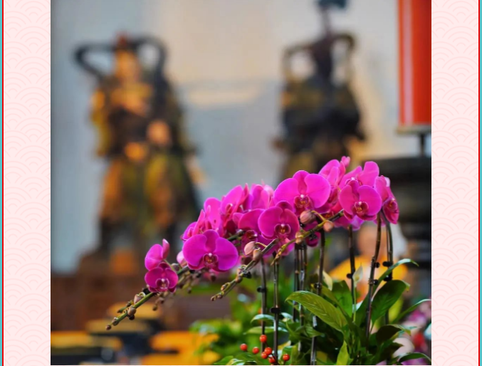 ���³���ӭ����Ը��Ҹ����飬�ؼҰ�����