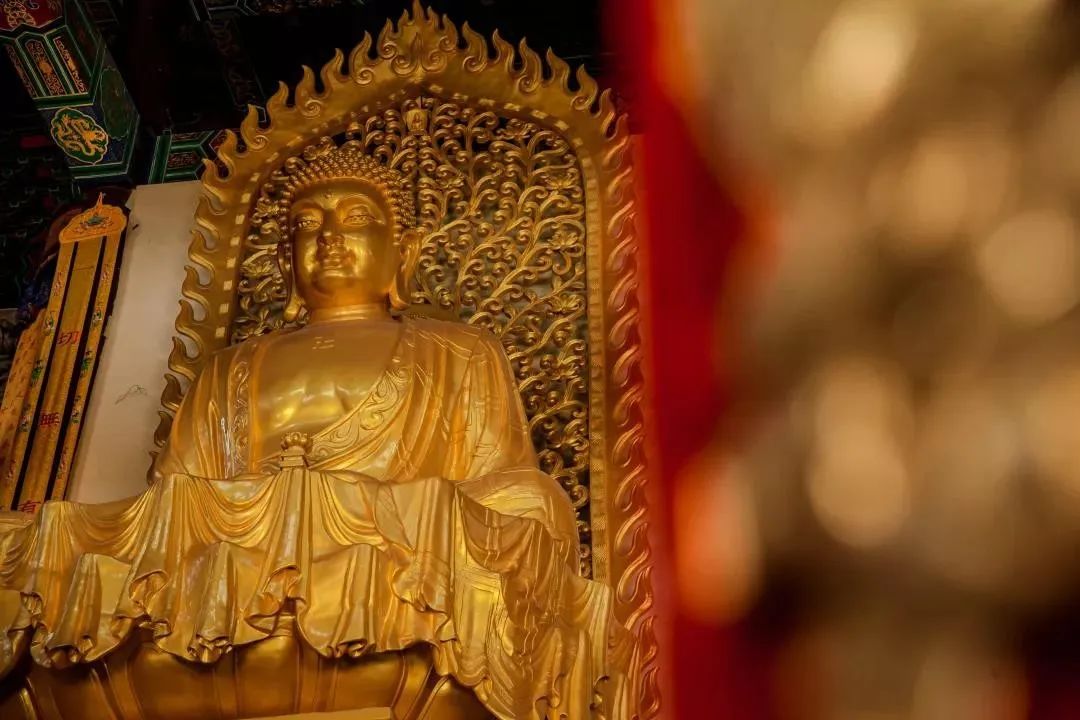 ��������������ʲô��