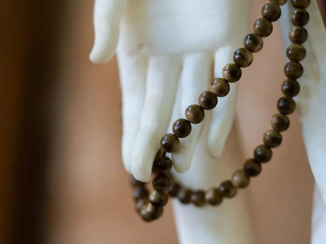 ���������ʲô����ã�