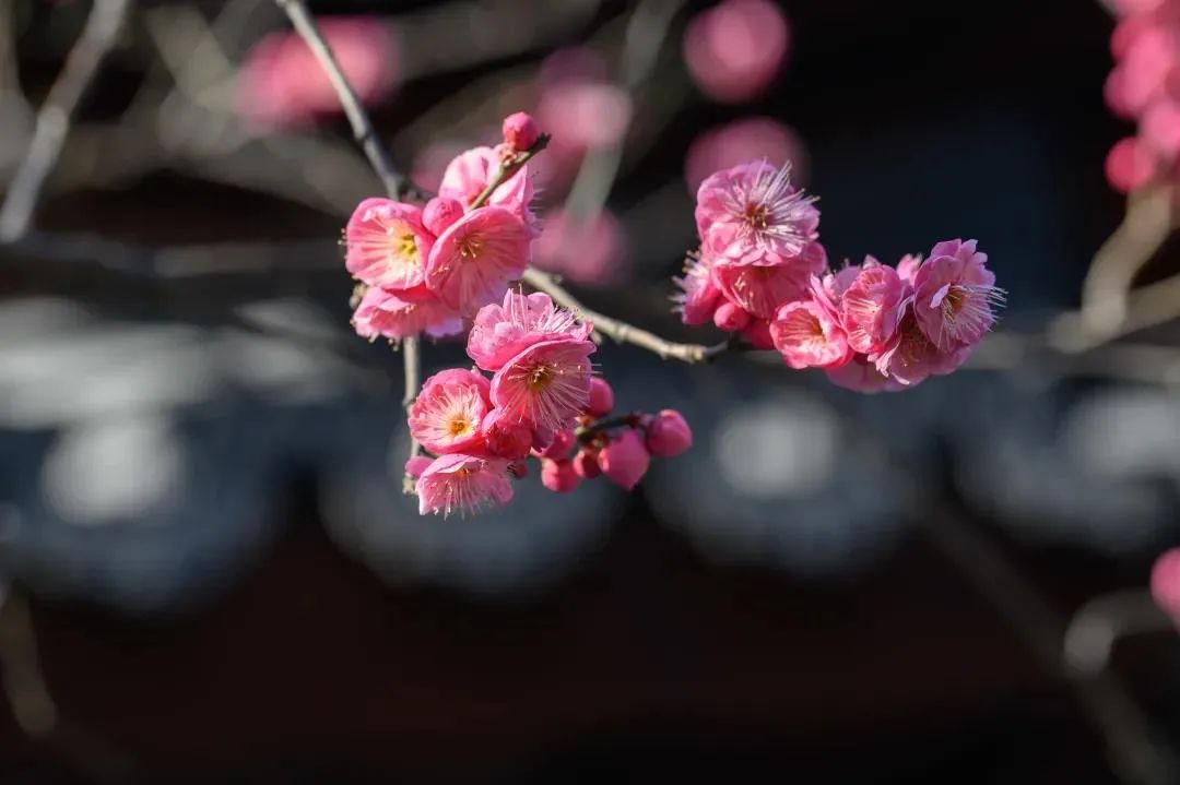 һ���˵ĸ���ʲôʱ������