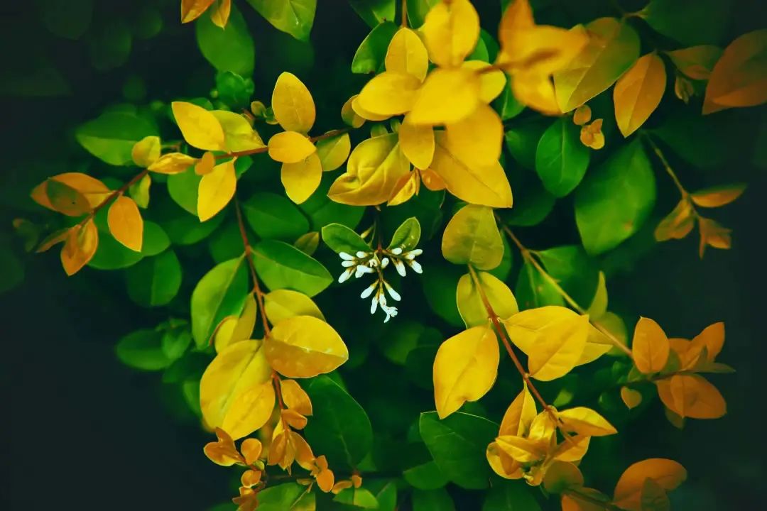 һ���˵ĸ���ʲôʱ������