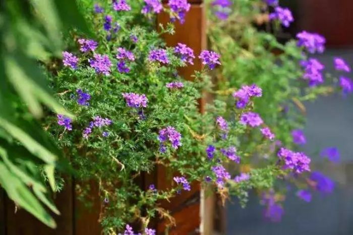 һ������ִ���ģ����ľ����˹Ұ�