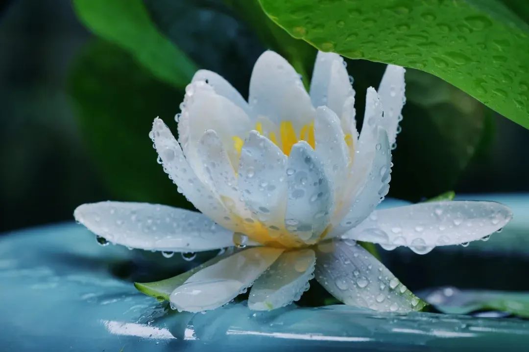 Ҫ����Ը��Ҫ�������Ž�ȥ