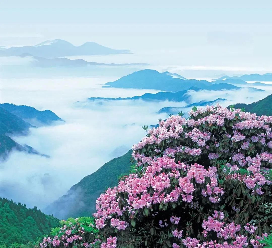 �������Σ��˲��ɵ�