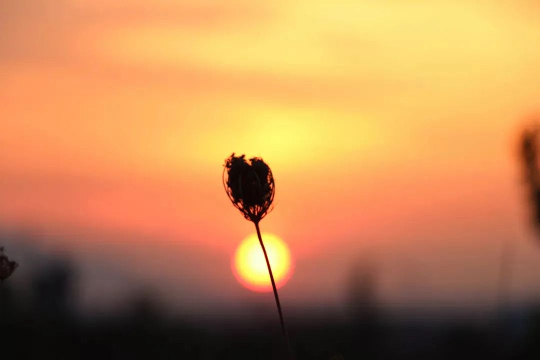 真正让你生气的,是你内心的执着 真正让你生气的,是你内心的执着