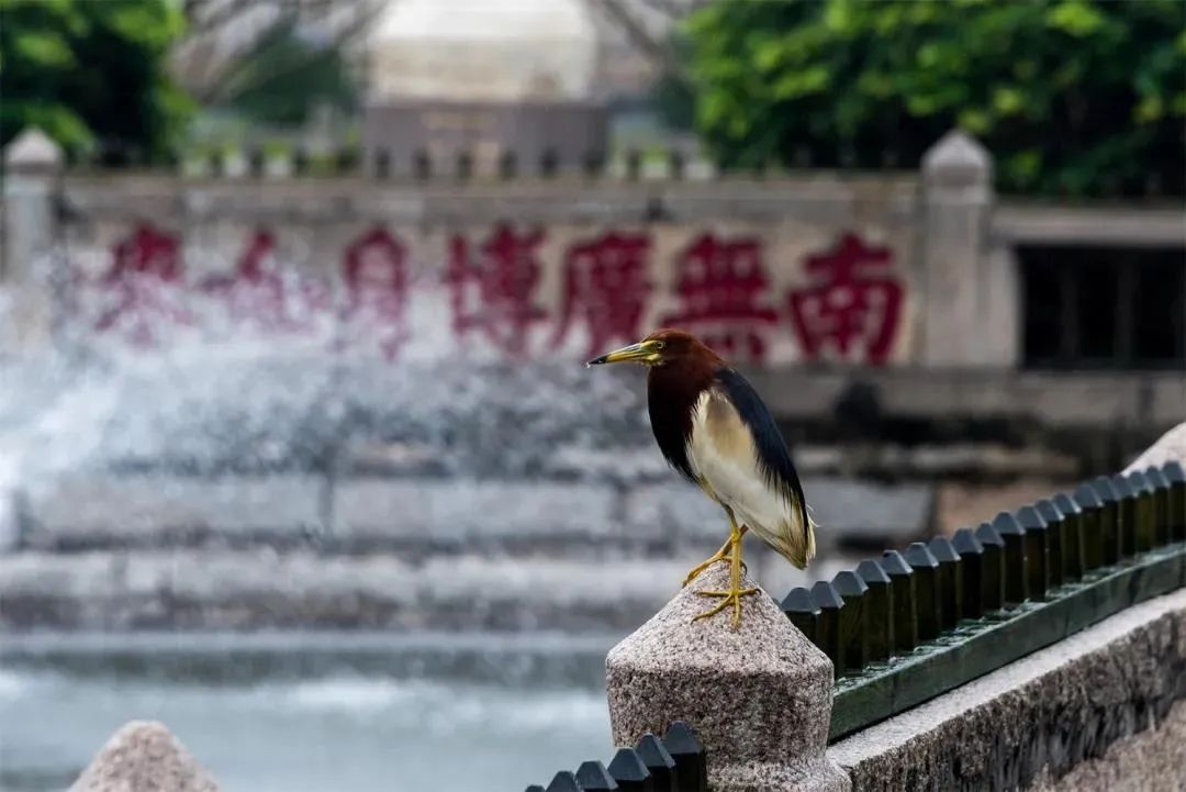 是非终日有,不听自然无 是非终日有,不听自然无