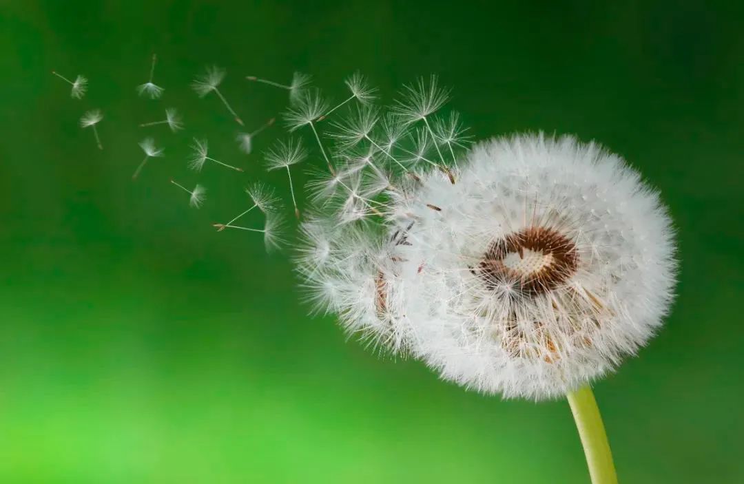 Ҫ������Ǯ����Ҫ��Ǯ������