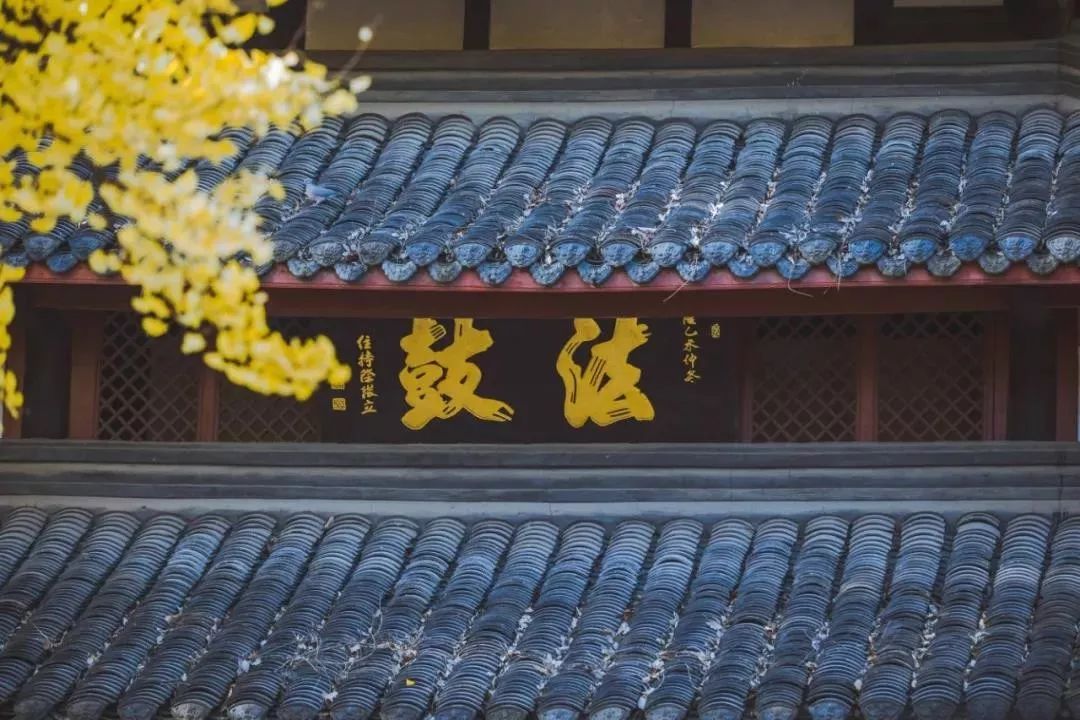 ����ࡢ����أ��˴������