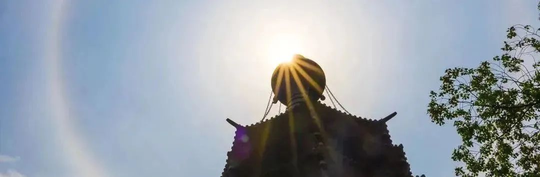 ����ֻ��һ�����Σ����������