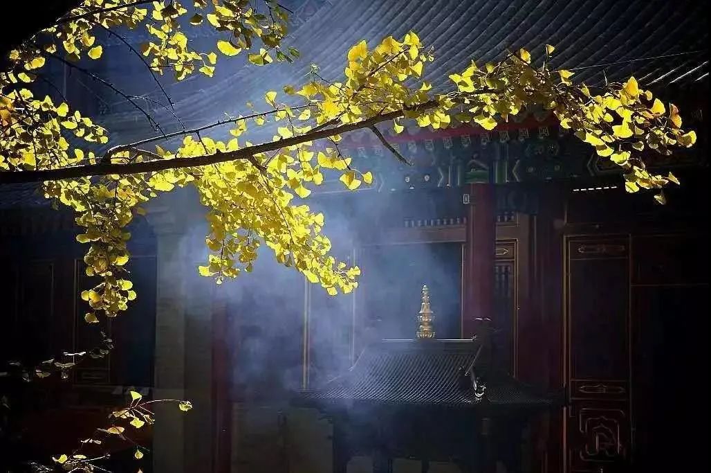 只有放下,才能做回自己找回自己 只有放下,才能做回自己找回自己