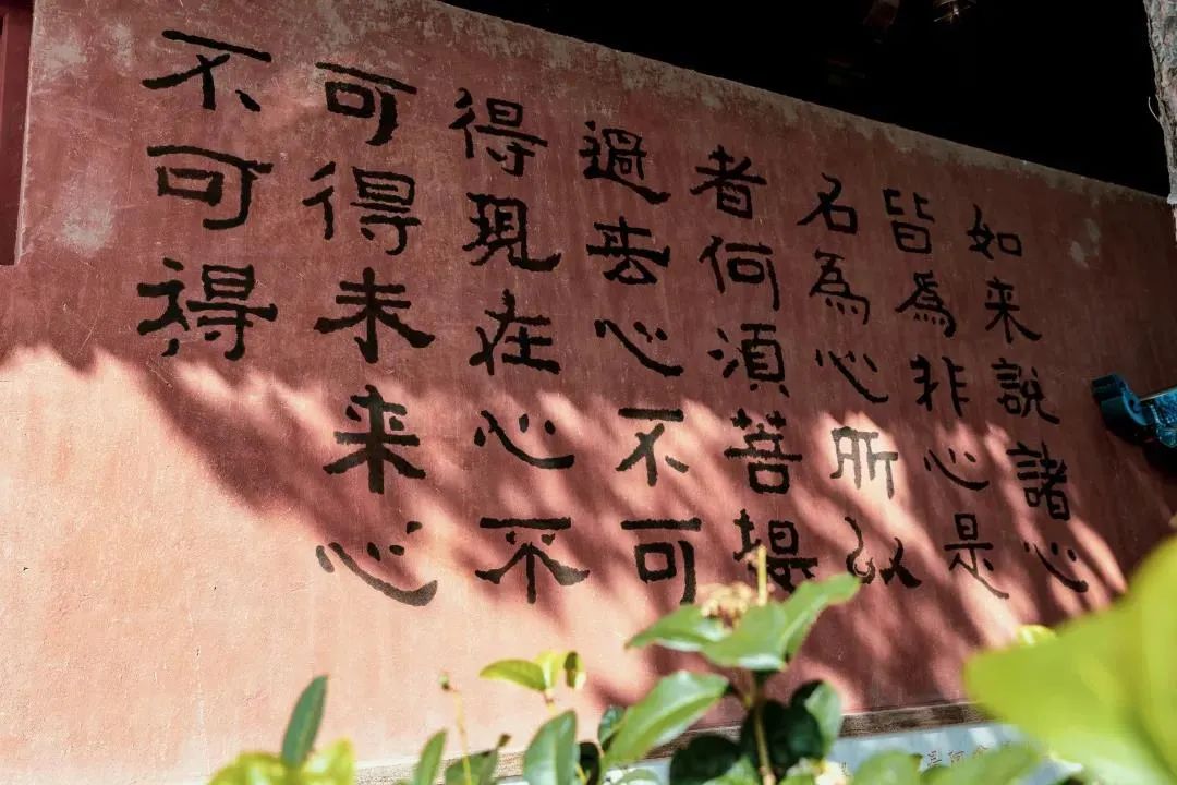 只有放下,才能做回自己找回自己 只有放下,才能做回自己找回自己