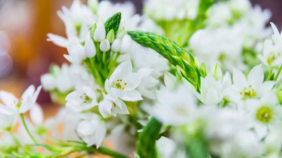 修行从哪里开始? 修行从哪里开始?