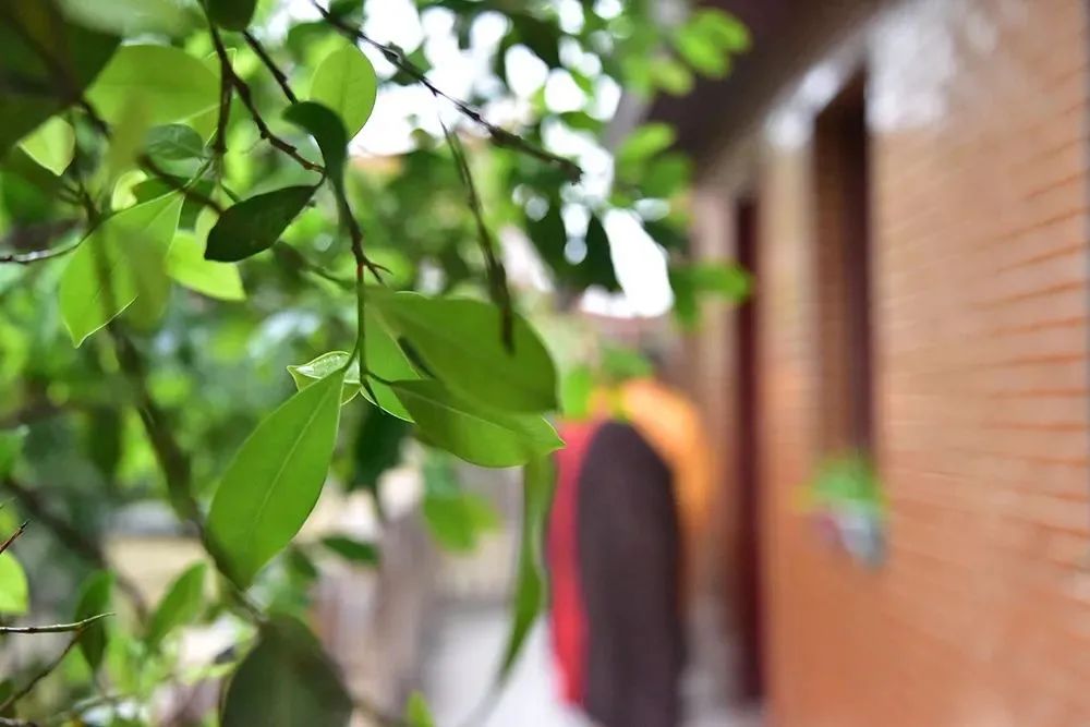 禅修的第一个条件不是盘腿 禅修的第一个条件不是盘腿