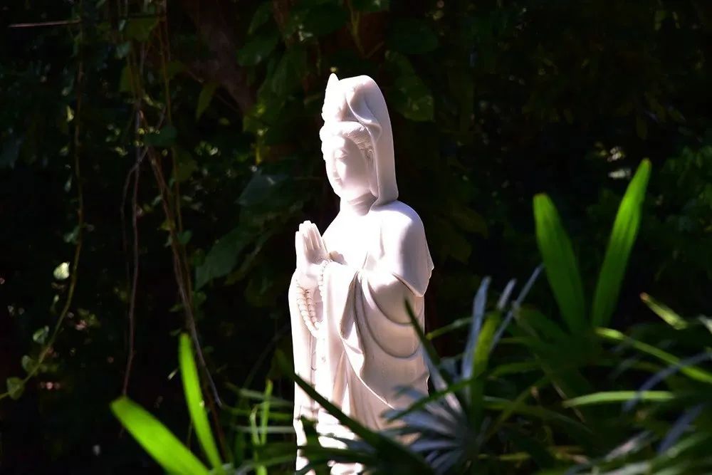 ���ն���������ʲô��˼��