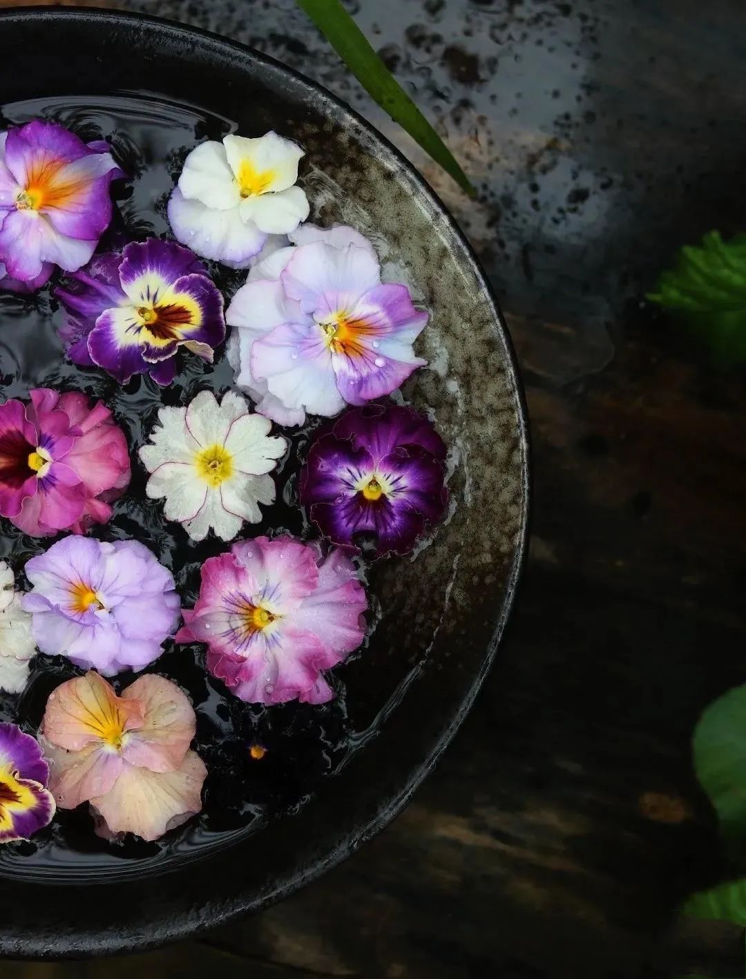 �Ѱ���ľ�ɢ������Ե�ı仯