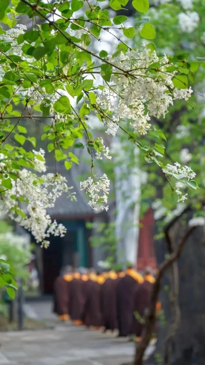 “我”是什么?其实只是一种感觉 “我”是什么?其实只是一种感觉