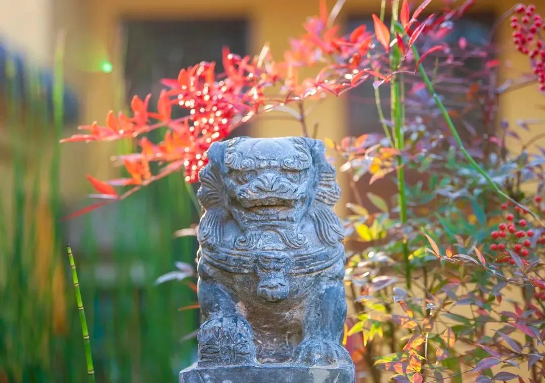 摄心,永远摄住的是自己的心 摄心,永远摄住的是自己的心