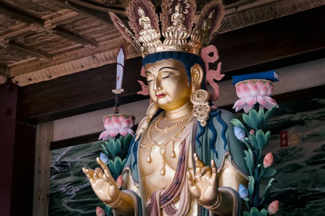 �����������λ�Լ���׷��