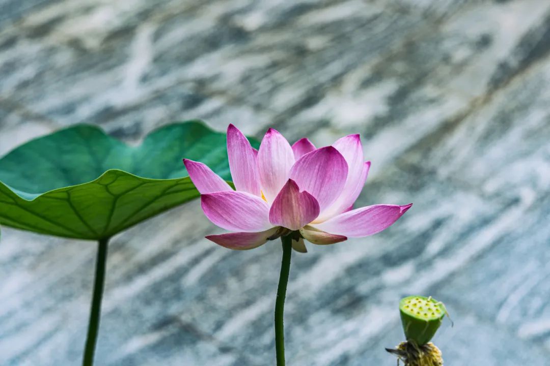 �����������λ�Լ���׷��