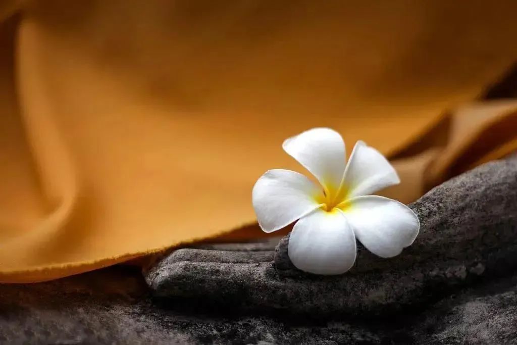 习气太重怎么办? 习气太重怎么办?