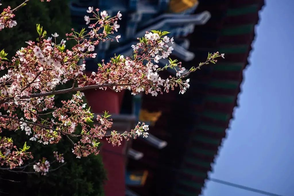 习气太重怎么办? 习气太重怎么办?