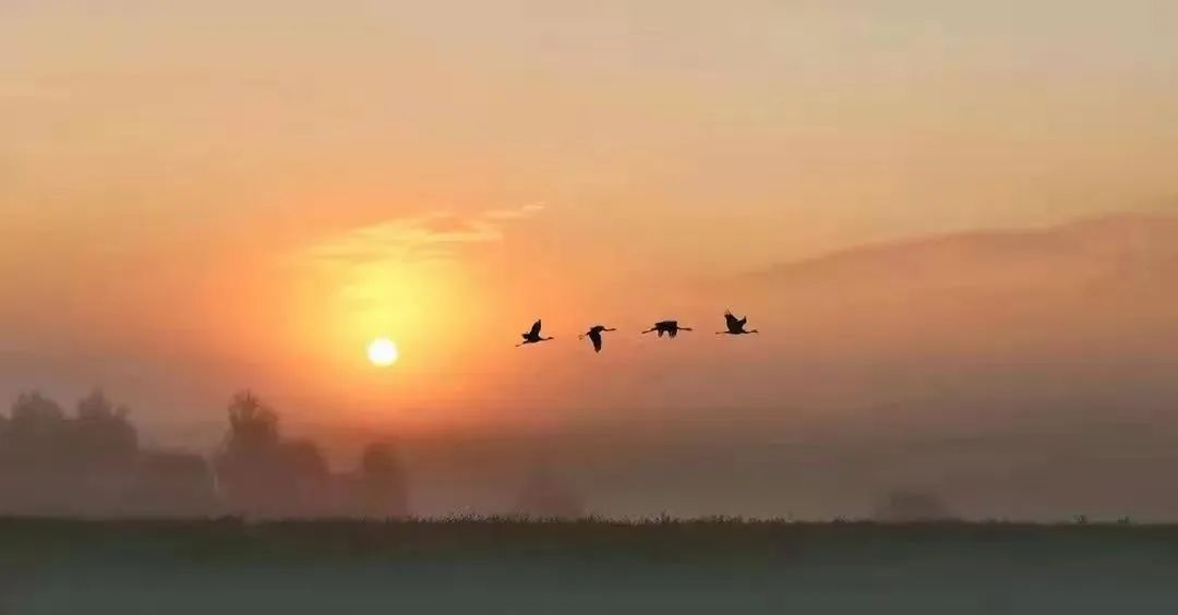 ��רע���ܿ���