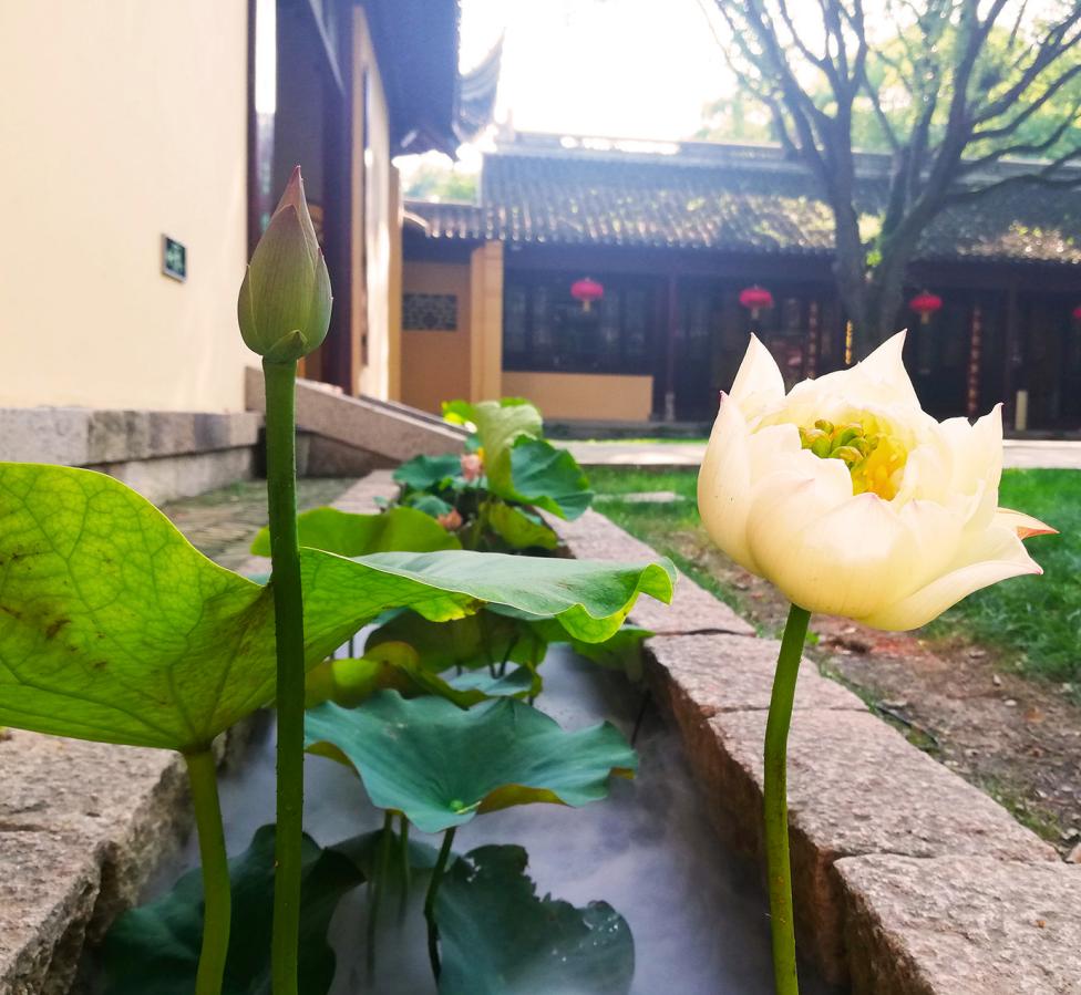 �ֽ���𣬸�ĸҲ������